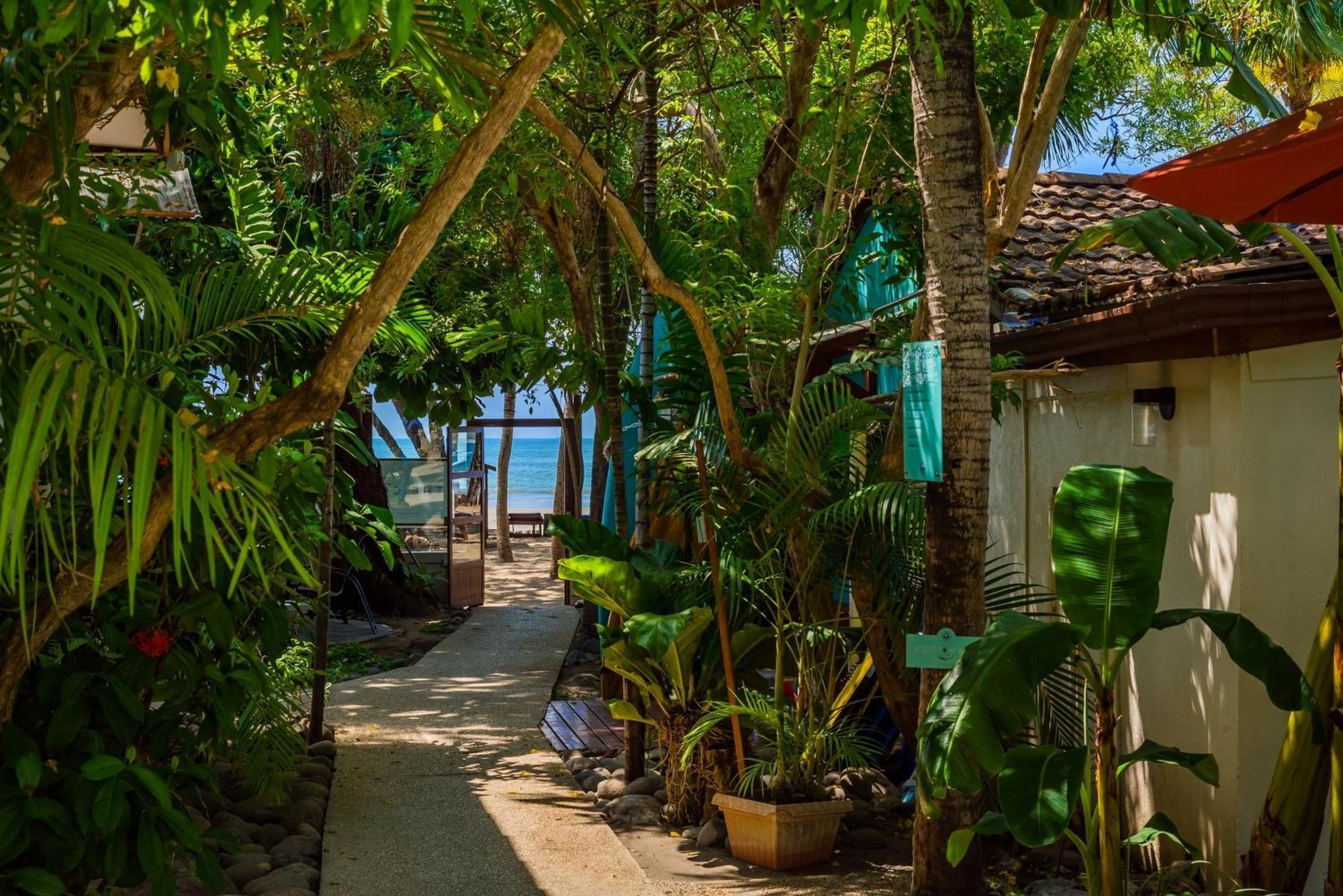 The Coast Beachfront Hotel Tamarindo Exterior foto